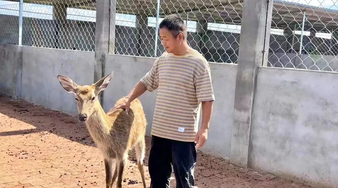 赌场送彩金排行榜